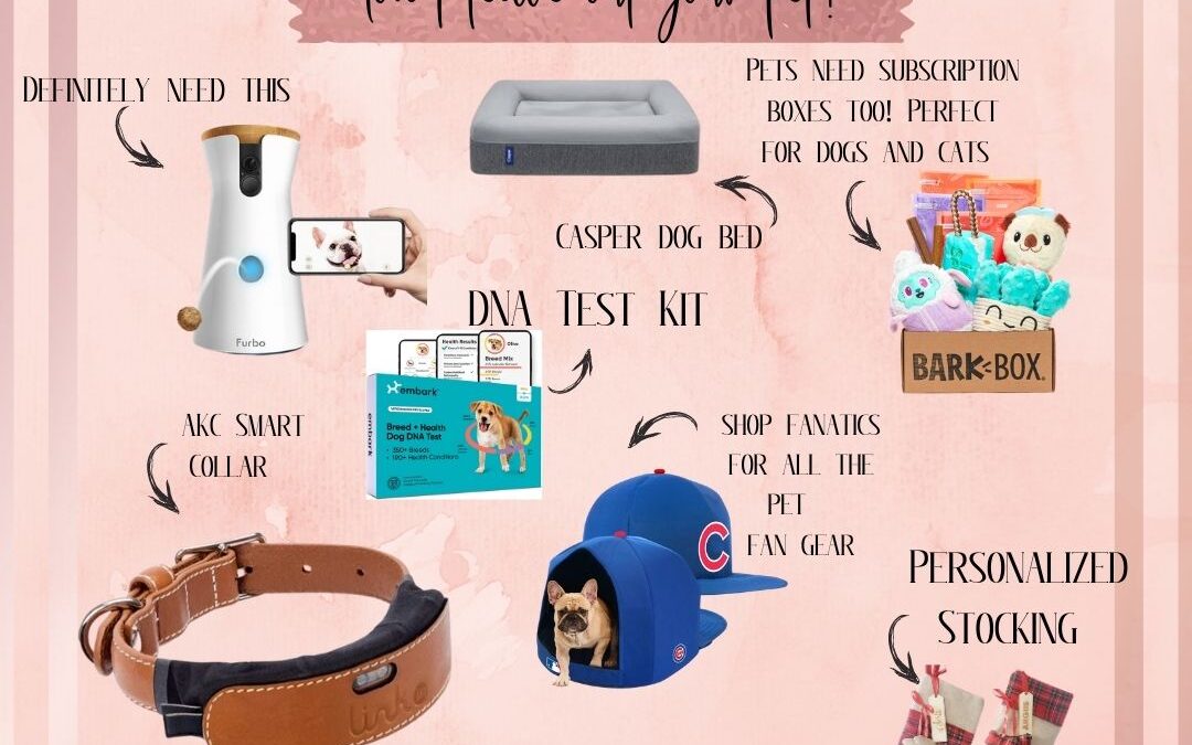 2020 Gift Guide for Pet Lovers